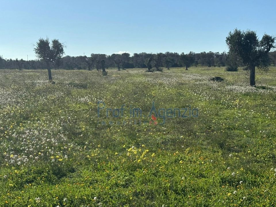 Lejlighed i Carovigno, Brindisi - foto 2